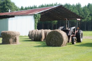This was from the first hay season after daddy died, and I had to "get it done." It was me and the old tractor.